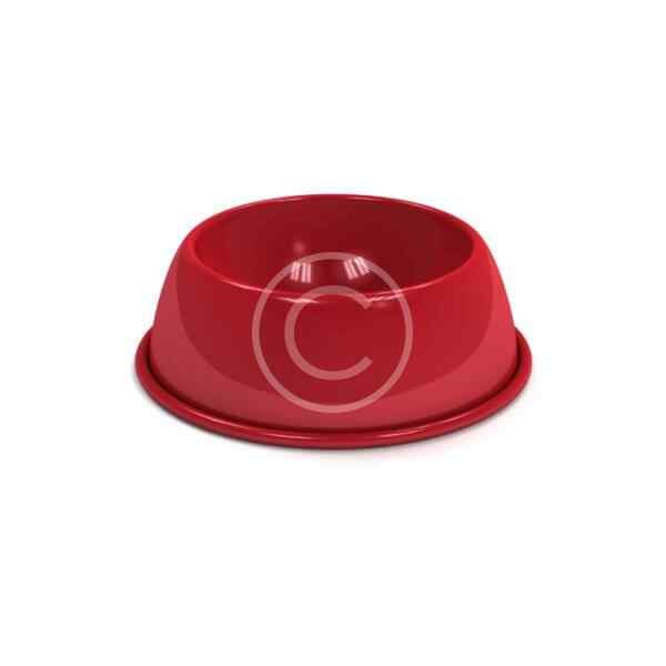 Water Bowl - Image 2